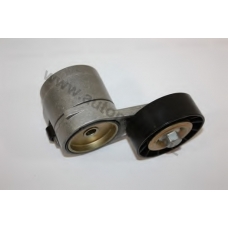 1012060990 AUTOMEGA Натяжной ролик, поликлиновой  ремень