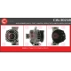 CAL30218