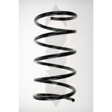 55486 SPIDAN Пружина ходовой части