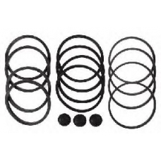 204605 BUDWEG CALIPER Ремкомплект, тормозной суппорт