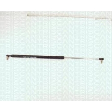 8710 14214 TRIDON Gas spring rear