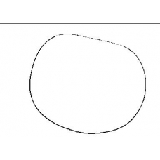 JN943 PAYEN Прокладка, крышка головки цилиндра