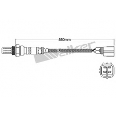 250-24884 WALKER Лямбда-зонд