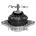 FEM3132 FIRST LINE Подвеска, двигатель