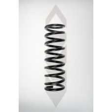 48680 SPIDAN Пружина ходовой части