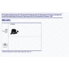 341312491101 MAGNETI MARELLI Комплект ремня грм