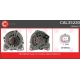 CAL35220