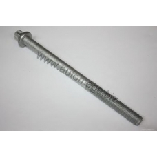 1006070242 AUTOMEGA Комплект болтов головки цилидра