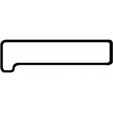 71-24069-00 REINZ Прокладка, крышка головки цилиндра