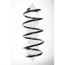 55968 SPIDAN Пружина ходовой части