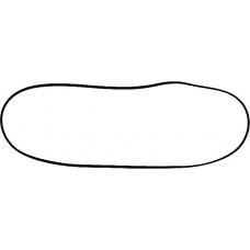 71-52213-00 REINZ Прокладка, крышка головки цилиндра