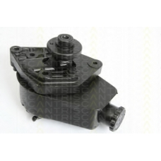 8515 25621 TRISCAN Гидравлический насос, рулевое управление