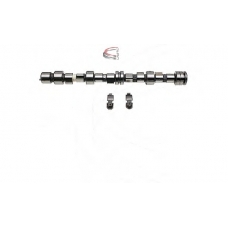 CP62283 CAMPRO Комплект распредвала