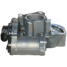 555201 ERA Клапан возврата ОГ