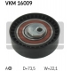 VKM 16009