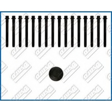 81023100 AJUSA Комплект болтов головки цилидра