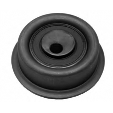 68309 SPIDAN Натяжной ролик, ремень грм