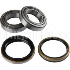 J4700300 NIPPARTS Комплект подшипника ступицы колеса