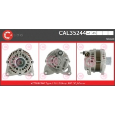 CAL35244GS CASCO Генератор