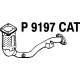 P9197CAT