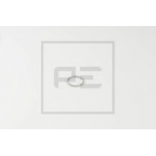 031.157-00A PE Automotive Уплотнительное кольцо; Уплотнительное кольцо, подш