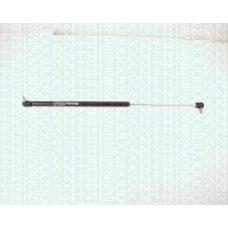 8710 14205 TRIDON Gas spring rear
