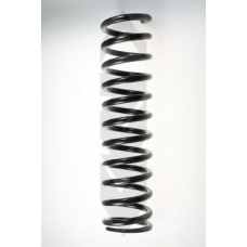 48669 SPIDAN Пружина ходовой части