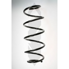 55251 SPIDAN Пружина ходовой части