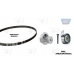 KT 1002 W2 OPTIBELT Водяной насос + комплект зубчатого ремня