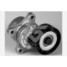 T0252 HUTCHINSON Натяжной ролик, поликлиновой  ремень