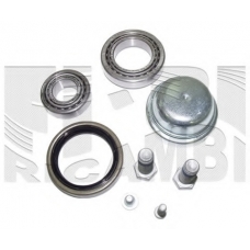RC6736 CALIBER Комплект подшипника ступицы колеса