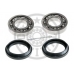 971615 OPTIMAL Комплект подшипника ступицы колеса