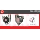 CAL10138<br />CASCO