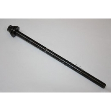 1006070923 AUTOMEGA Болт головки цилидра