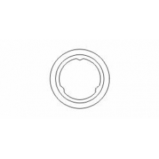 496605 ERNST Уплотнительное кольцо, труба выхлопного газа