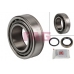 713 6304 60 FAG Комплект подшипника ступицы колеса