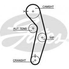5441XS GATES Ремень ГРМ