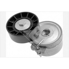 T0306 HUTCHINSON Натяжной ролик, поликлиновой  ремень