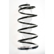 55391 SPIDAN Пружина ходовой части