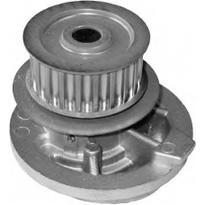 19.0116 PEX Водяной насос