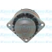 NW-1244 KAVO PARTS Водяной насос