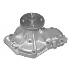 60546 SPIDAN Водяной насос