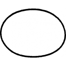 JN310 PAYEN Прокладка, крышка головки цилиндра