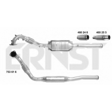 753616 ERNST Катализатор