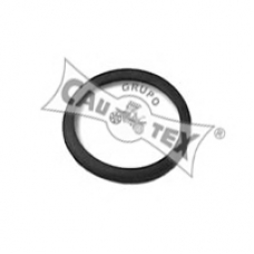 952042 CAUTEX Прокладка, термостат