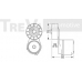 TA1242 TREVI AUTOMOTIVE Натяжная планка, поликлиновой ремень