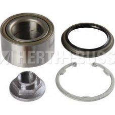 J4703006 NIPPARTS Комплект подшипника ступицы колеса