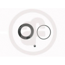 D4346 AUTOFREN SEINSA Ремкомплект, тормозной суппорт