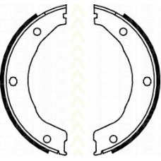 8100 10030 TRISCAN Комплект тормозных колодок, стояночная тормозная с