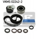 VKMS 02242-2